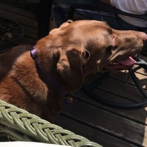 Meet your Posher, Mary